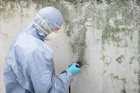 Best Mold Odor Removal Services  in Mount Union, PA